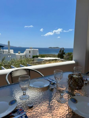 Villa Maiko Εξοχική κατοικία στην Άνδρο, Γαύριο